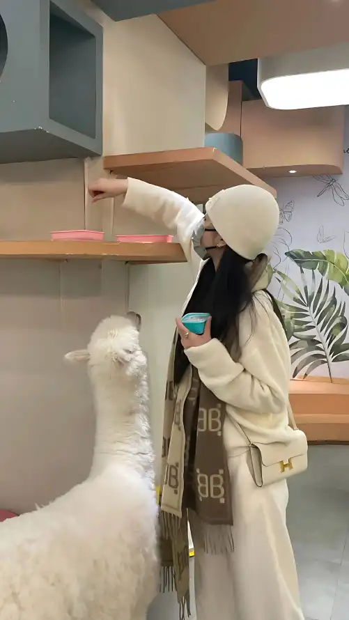 亚洲六月丁香六月婷婷_中文字字幕在线中文乱码网站_国产成人av大片大片在线播放